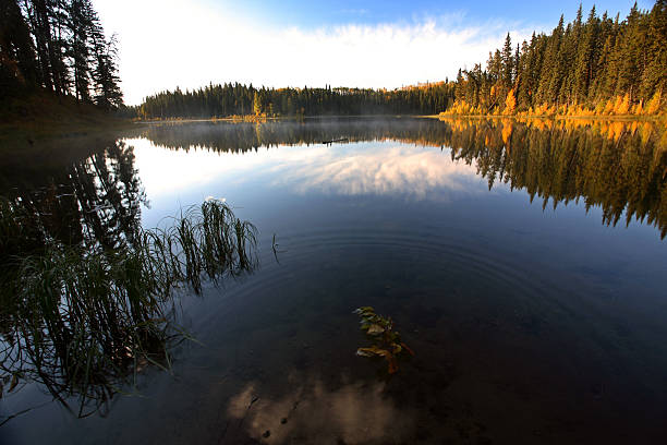 istock Water reflection at Jade Lake in Northern Saskatchewan 500281587