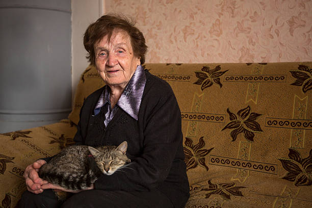 istock An elderly woman with cat. 500288017