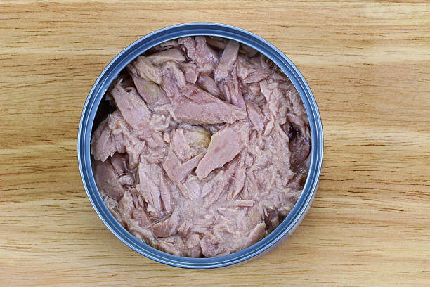 istock Tuna Fish flakes in Brine 500288129