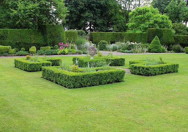 Image of landscaped knot garden with geometric clipped buxus hedging Photo showing a spreading lawn with a centerpiece knot garden, with clipped box / boxwood hedging (buxus sempervirens), pruned to form four crisp, symmetrical geometric shapes with right-angle corners.  A summer flower border, yew hedge and large specimen trees form a backdrop to the garden. knot garden stock pictures, royalty-free photos & images
