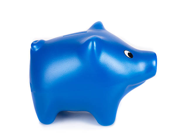 istock Blue piggy bank on isolated white background 500289187