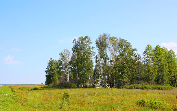 istock Beautiful summer landscape 500289333