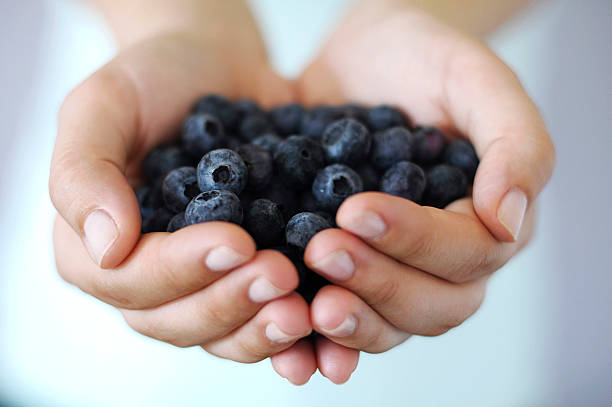 istock Woman Holding Blueberries 500289675