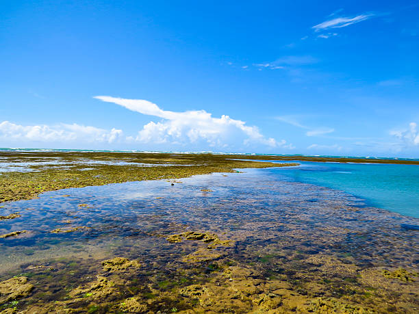 seascape stock photo