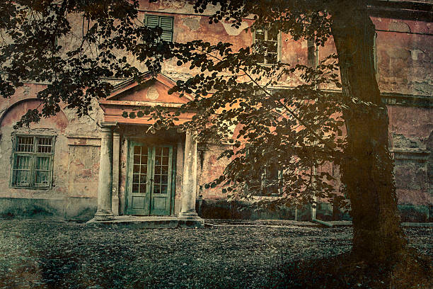istock Abandoned mental hospital in the forest 500291219