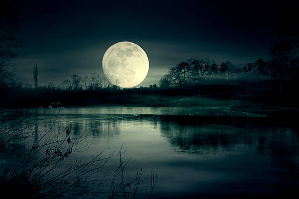 spooky moonrise al lago - spring forest scenics reflection fotografías e imágenes de stock