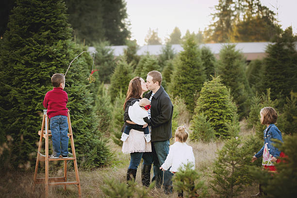 Large Family Christmas Card photo in Christmas Tree Farm . stock photo