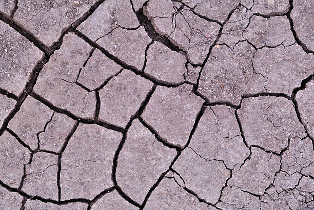 Cracked earth stock photo