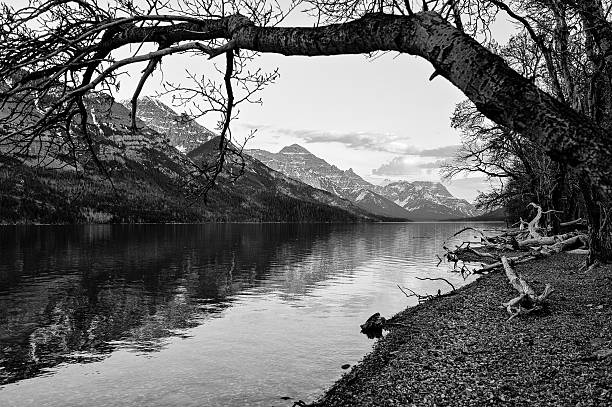 istock Waterton lake scenic view in black and white 500293838