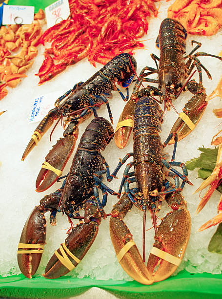 istock fresh  lobster at the market 500295152
