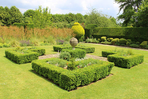 obraz pięknie zaprojektowany ogród ziołowy z geometrycznym przycinane buxus zabezpieczenia - bush formal garden boxwood flower bed zdjęcia i obrazy z banku zdjęć