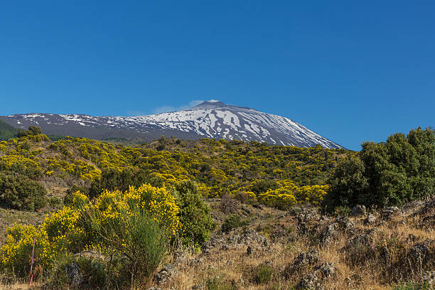 istock Aetna volcano broom field 500296068