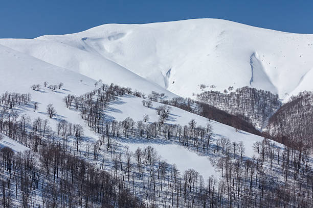 istock Mountain covered with snow with trees at its slopes 500297626