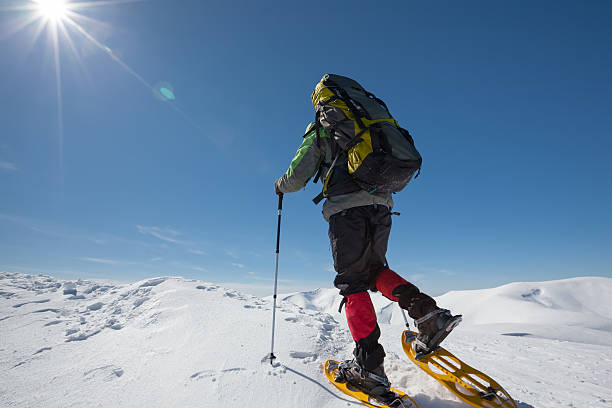 istock Hiker in winter mountains during sunny day 500298290