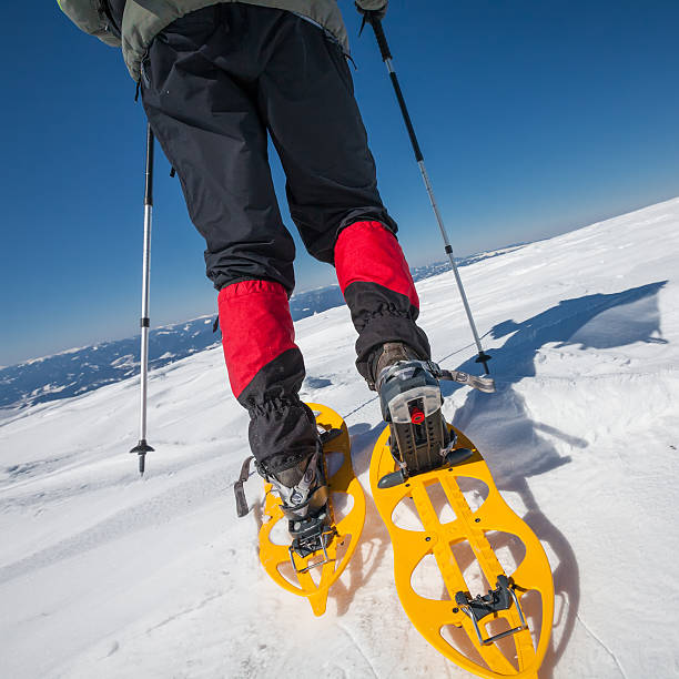 istock Hiker snowshoeing in winter mountains during sunny day 500298840