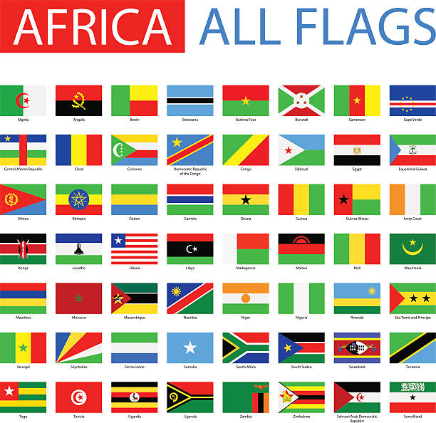 флаги африка полный векторная коллекция - south africa flag africa south african flag stock illustrations