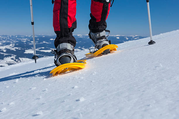 istock Hiker snowshoeing in winter mountains during sunny day 500299154
