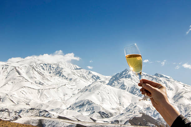 istock Raise one´s glass with champagne 500302446