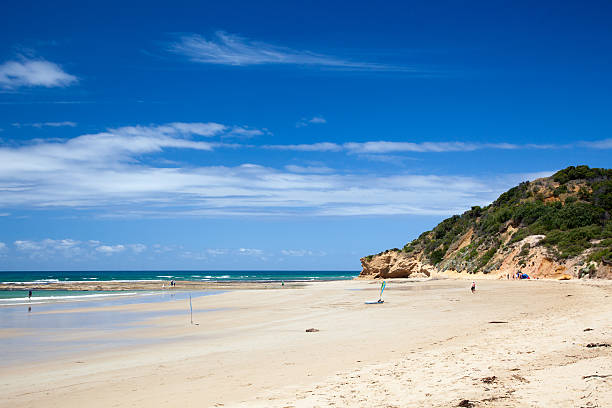 istock Sandy beach in New South Wales 500302720