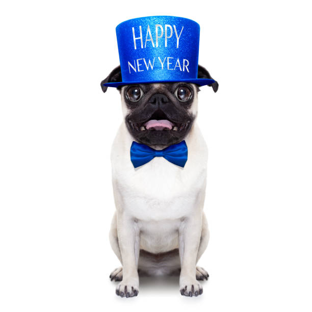 istock happy new year dog 500303092