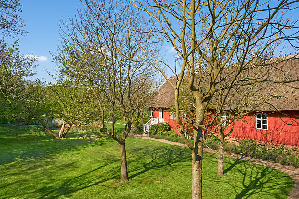 istock Funen Village. Open air museum 500303193