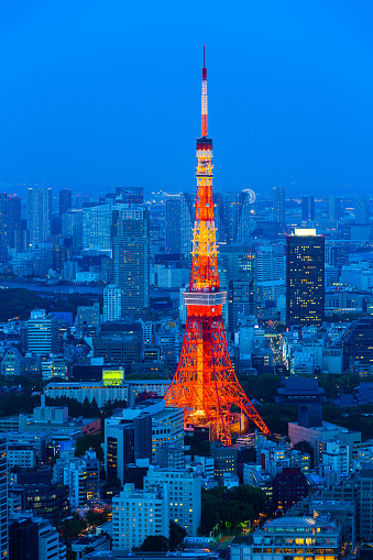 Tokyo tower as seen with skyline