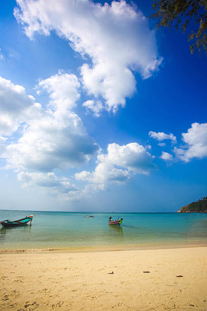 istock Beautiful tropical beach with palm tree. Koh Phangan 500304005