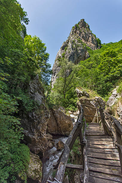 drewno most nad erma river gorge - falling vertical green grass zdjęcia i obrazy z banku zdjęć