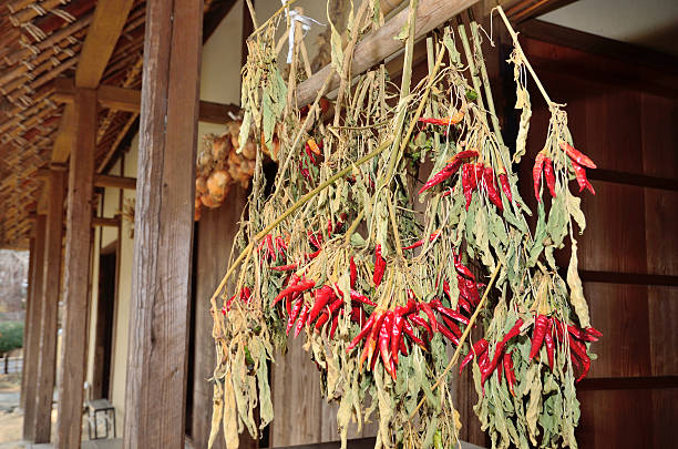 istock Farmer's house 500306249