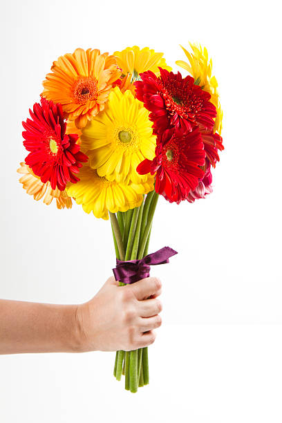 istock colorful gerbera flowers bouquet 500306735
