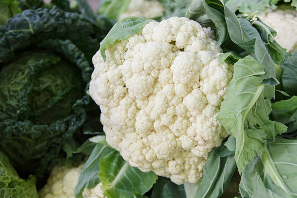 istock Whole fresh cauliflower with mixed out of focus cabbage 500307139