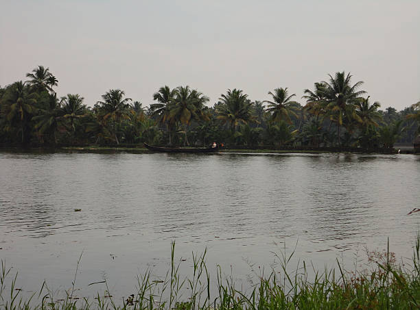 KUTTANAD stock photo