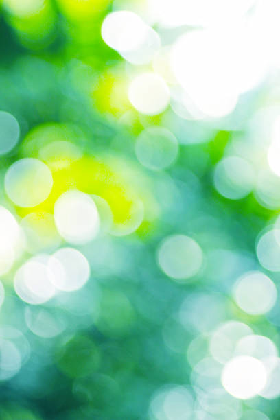 istock White bokeh abstract green and blue background. 500319609