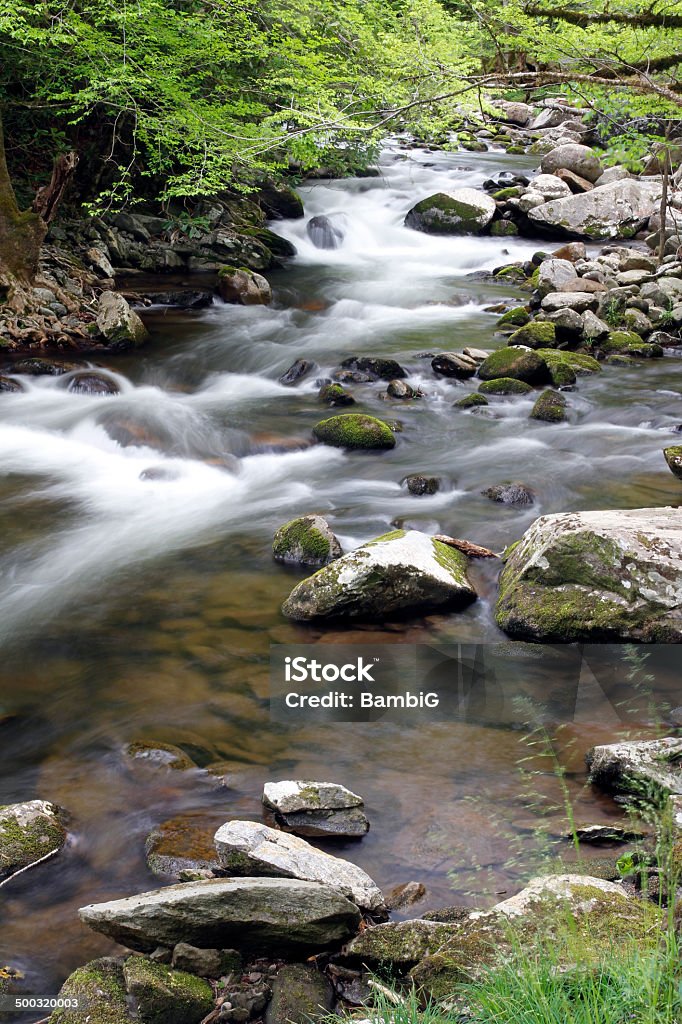 Fluss - Lizenzfrei Appalachen-Region Stock-Foto
