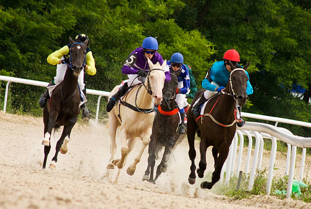 corrida de cavalos - flat racing imagens e fotografias de stock