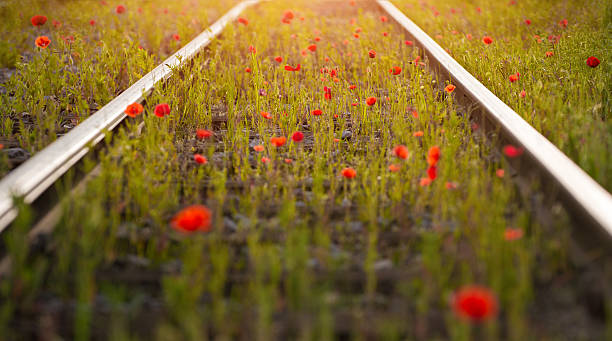 red dotted railway stock photo