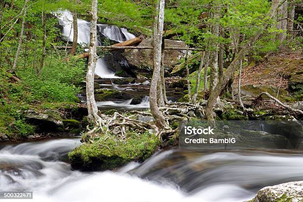 Wodospad - zdjęcia stockowe i więcej obrazów Appalachy - Appalachy, Bez ludzi, Biały