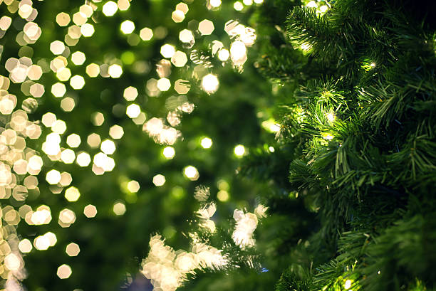 istock Close up of a green Christmas tree 500322846