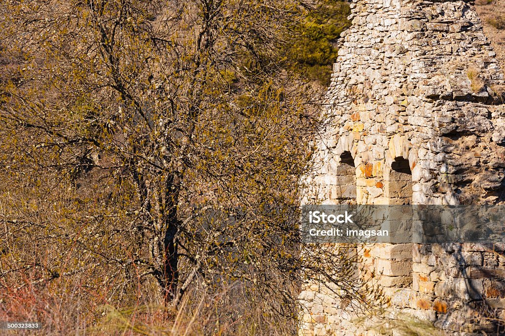 Старый колокол Торец и дерево лицом к лицу - Стоковые фото Архитектура роялти-фри