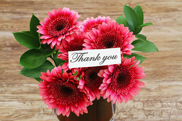 istock Thank you card with dark pink gerbera daisies 500324561