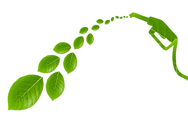 istock Green fuel with leaves II 500325431