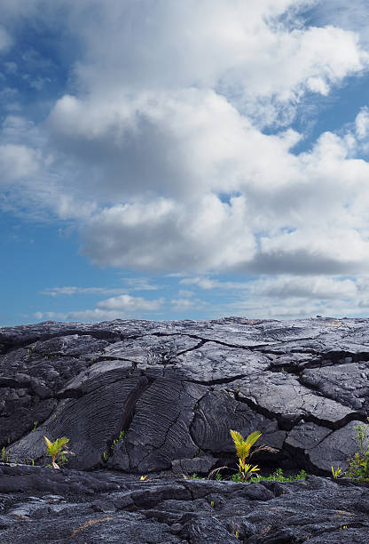 Recent Lava Flows on the Hawaii's Big Island