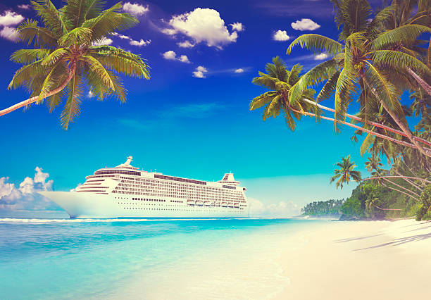 istock Cruise Beach Palm Tree Vacation Travel Holiday Concept 500327966