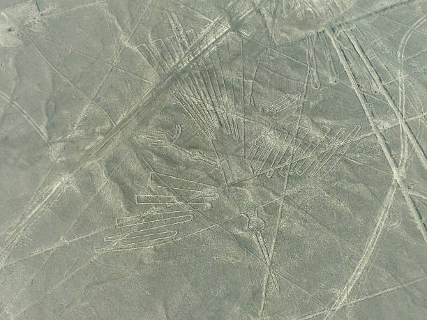 vue aérienne de geoglyphs lignes de nazca au pérou - zoomorphic photos et images de collection