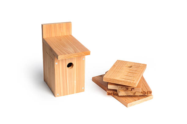 zrób to sam budka dla ptaków - birdhouse birds nest box isolated zdjęcia i obrazy z banku zdjęć