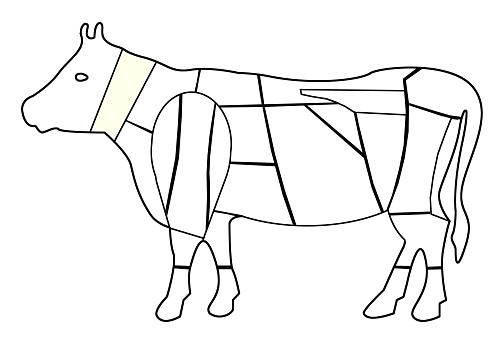Sketch of the meat classifications of a beef