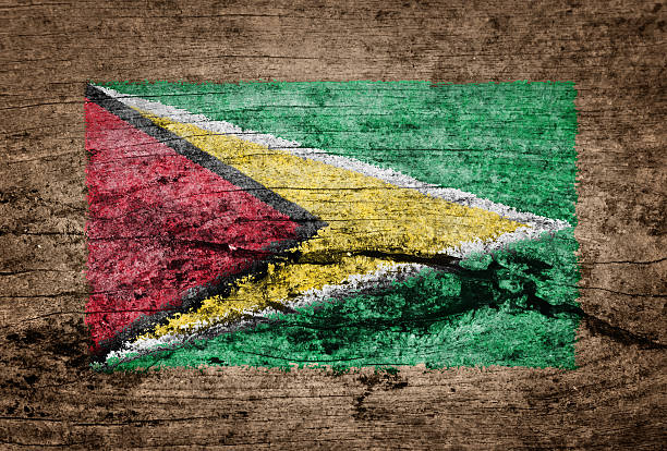 istock Guyana flag painted on wood background 500333836