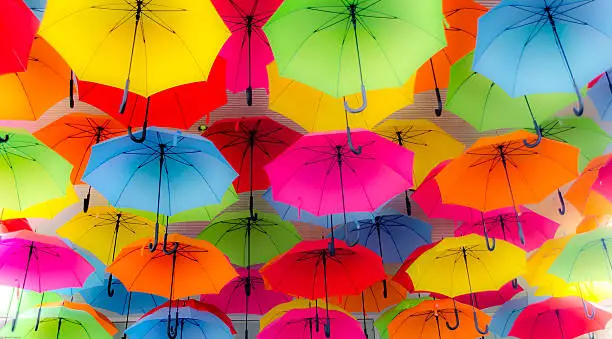 Photo of Colorful Bella Umbrellas Background