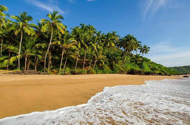 Paisagem goa - fotografia de stock