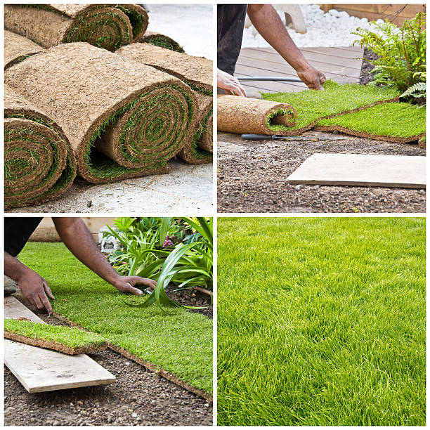 istock Steps of installing rolls of grass in a garden, collage 500341385